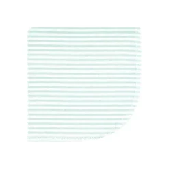 Hudson Baby Infant Girl Flannel Washcloths, Eucalyptus 10Pk, One Size -Hudson Baby Store GUEST 81b0eda4 87e5 45b9 846a 0037df2d8dfe