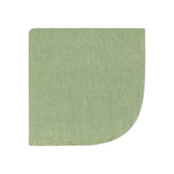 Hudson Baby Infant Girl Flannel Washcloths, Eucalyptus 10Pk, One Size -Hudson Baby Store GUEST 8ec815c1 1364 447d 89e4 ae9340736e1a