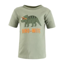 Hudson Baby Infant And Toddler Boy Short Sleeve T-Shirts, Beyond Awesome -Hudson Baby Store GUEST d67a363a c07b 4e05 8489 0b5b9492f792